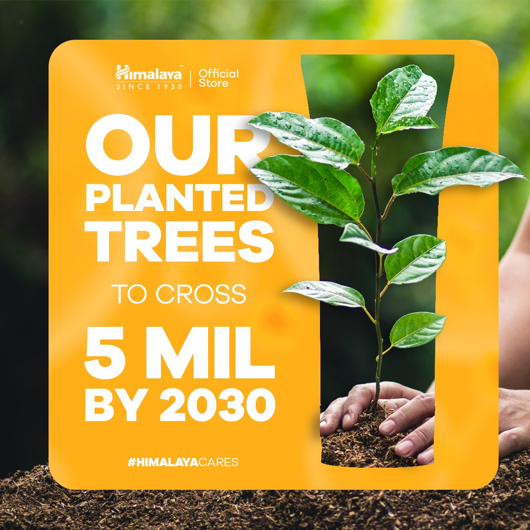 Himalaya Dark Spot Treatment Turmeric Face Mask