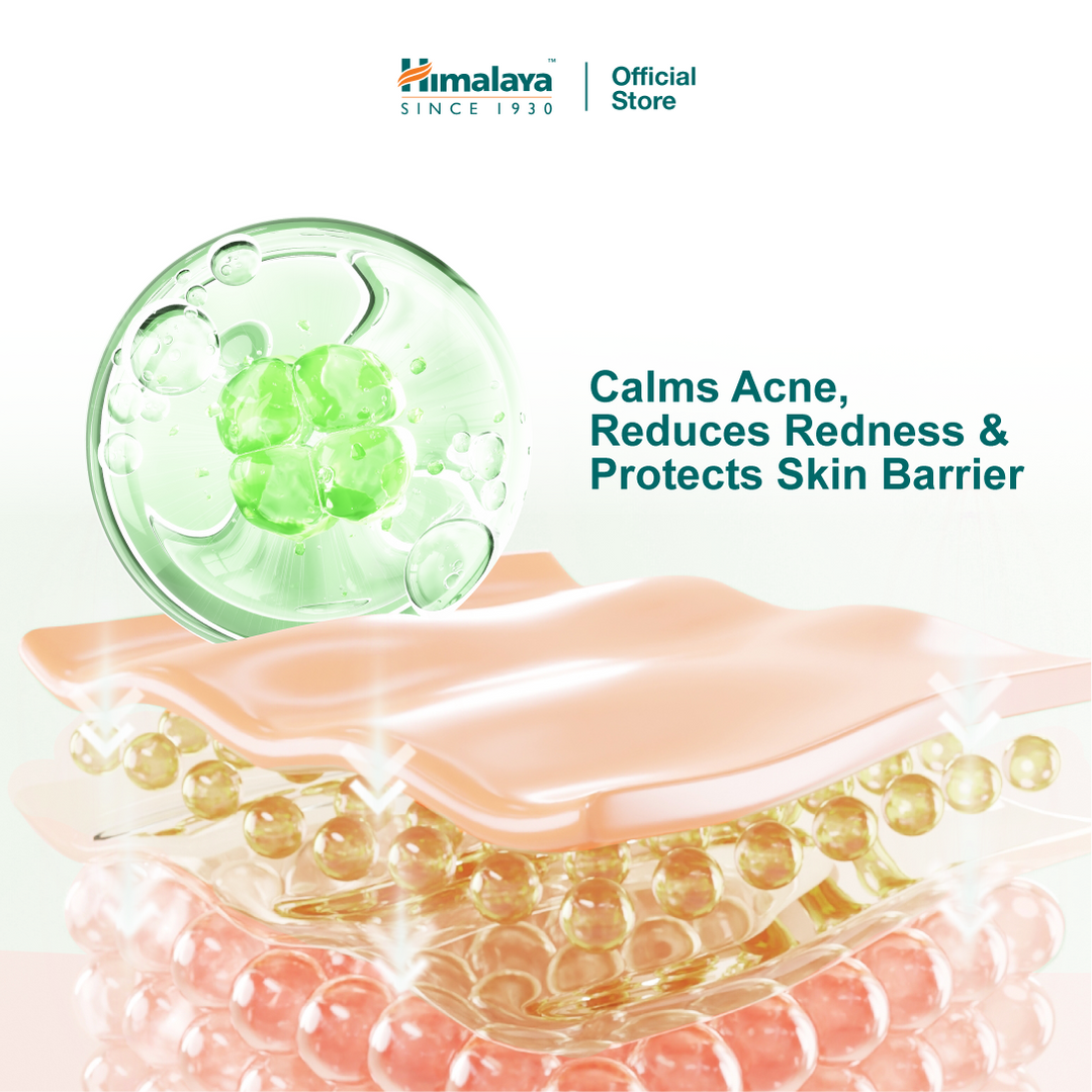 Himalaya Purifying Neem Clay Stick Mask