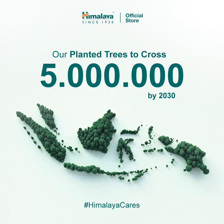 Himalaya Purifying Neem Clay Stick Mask