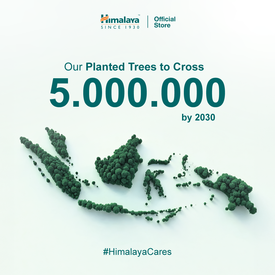 Himalaya Purifying Neem Face Mask